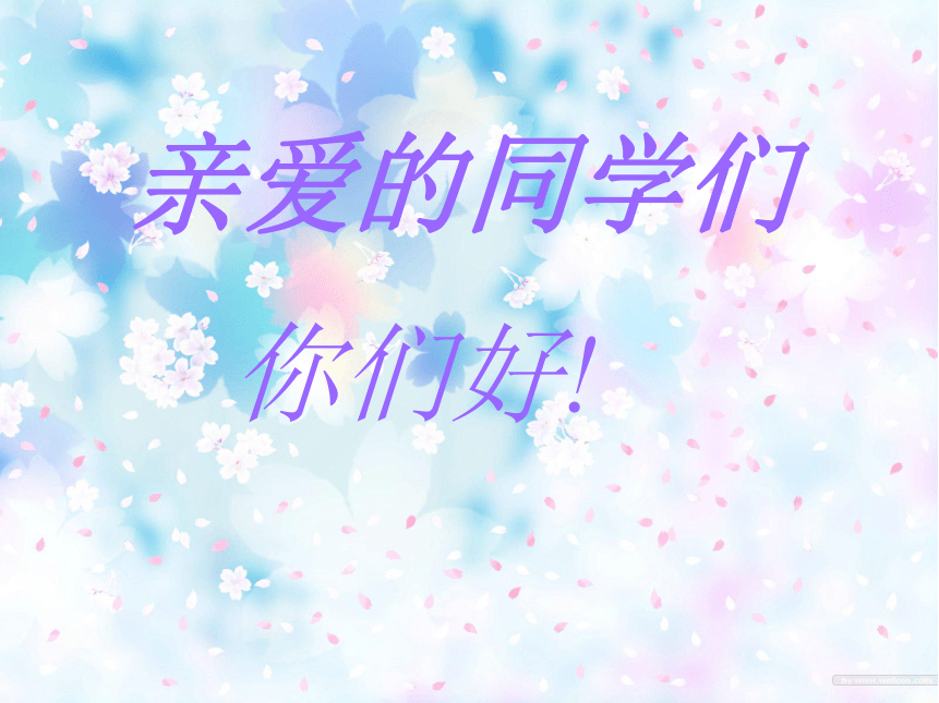 课件预览