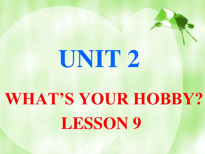 Unit 2 What’s your hobby? Lesson 9 课件