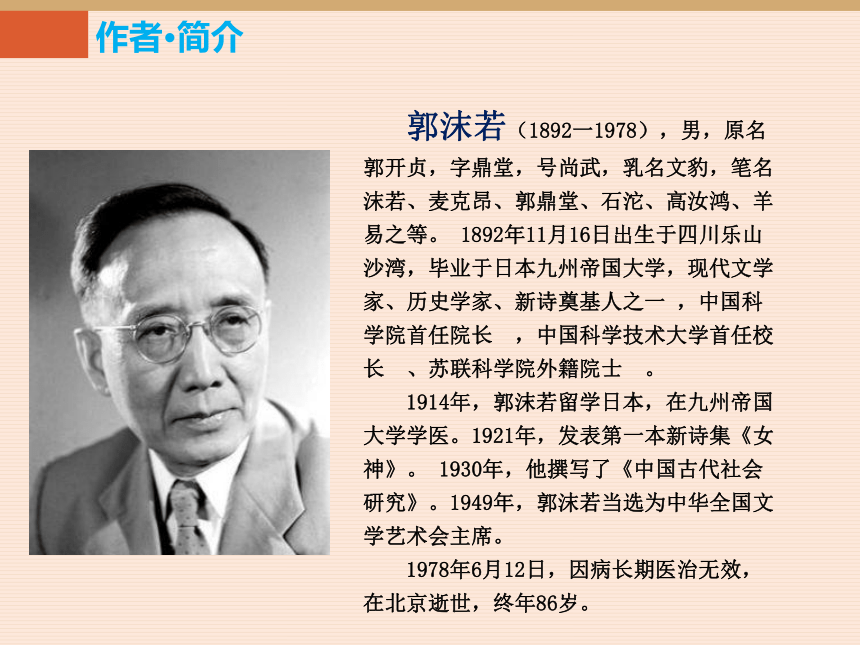 苏教版九上语文 13.散文家谈散文 课件（幻灯片31张）