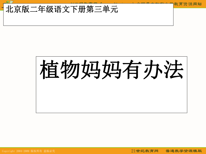 二年级语文下册课件 植物妈妈有办法 1（北京版）