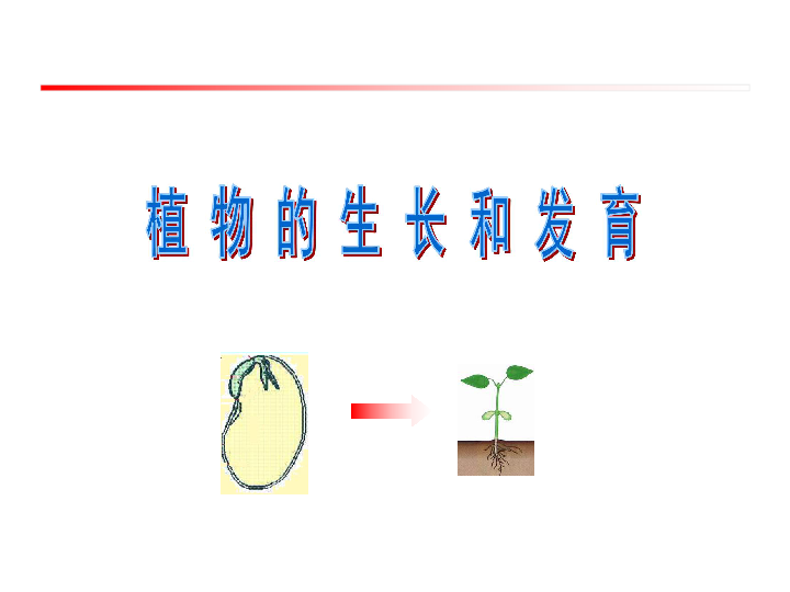 《植物的生长发育》课件 (共34张PPT)