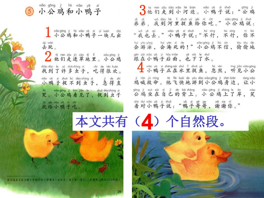 部编版一年级下册(2016部编） 课文  5 小公鸡和小鸭子  课件
