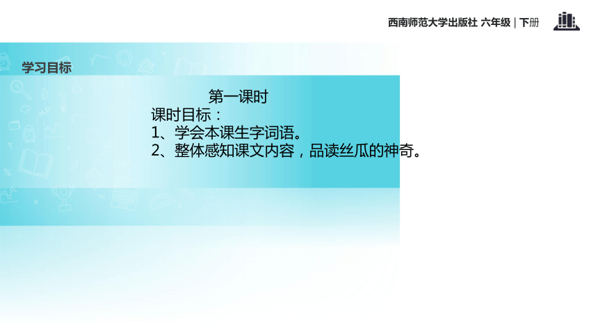 神奇的丝瓜    课件(共19张PPT)