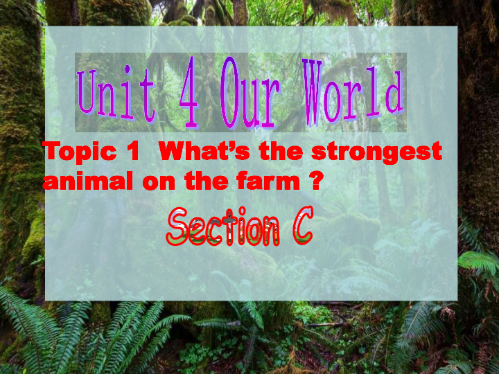 Unit 4 Our World Topic 1 What's the strongest animal on the farm? Section C 课件33张PPT