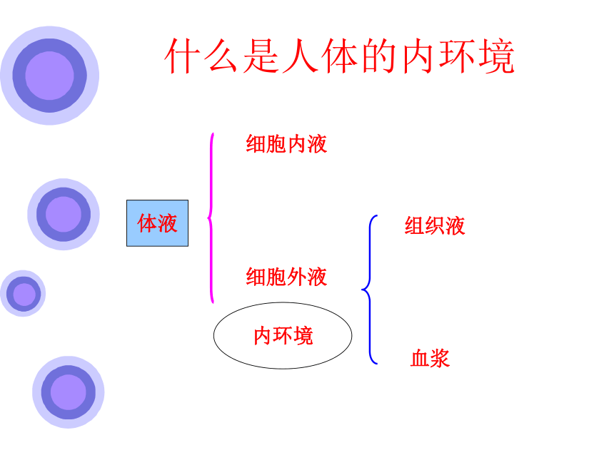 什么是人体的内环境