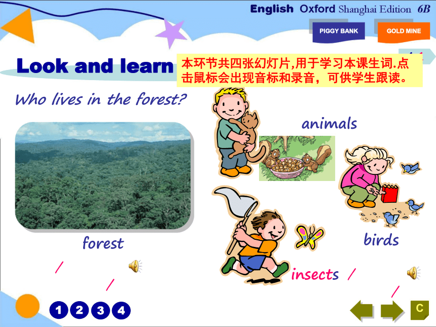 Unit 10 Forests and land 第一课时课件