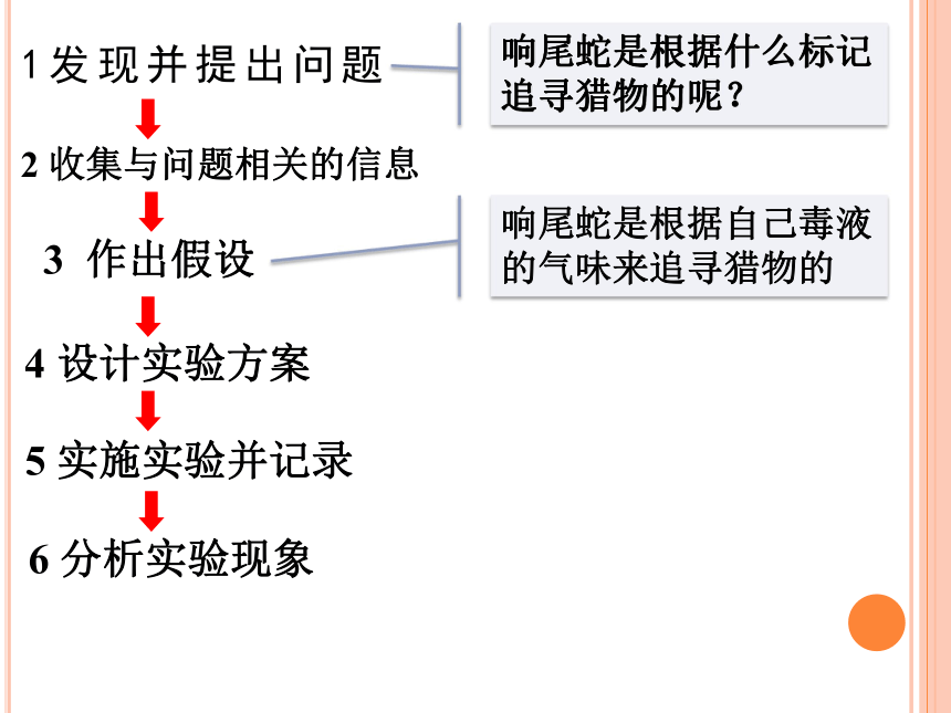 生物学研究的基本方法课件 (共20张PPT)