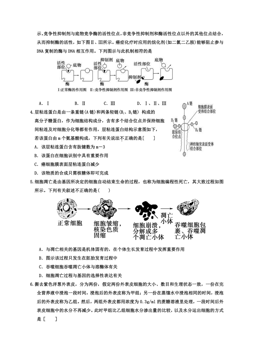 河北省衡水中学2014届高三上学期四调考试生物试卷