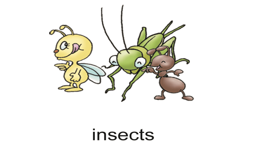 insect卡通图片