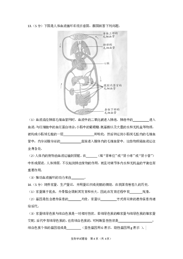 2020年安徽省八年级学业水平考试生物学试题（PDF版，有答案）