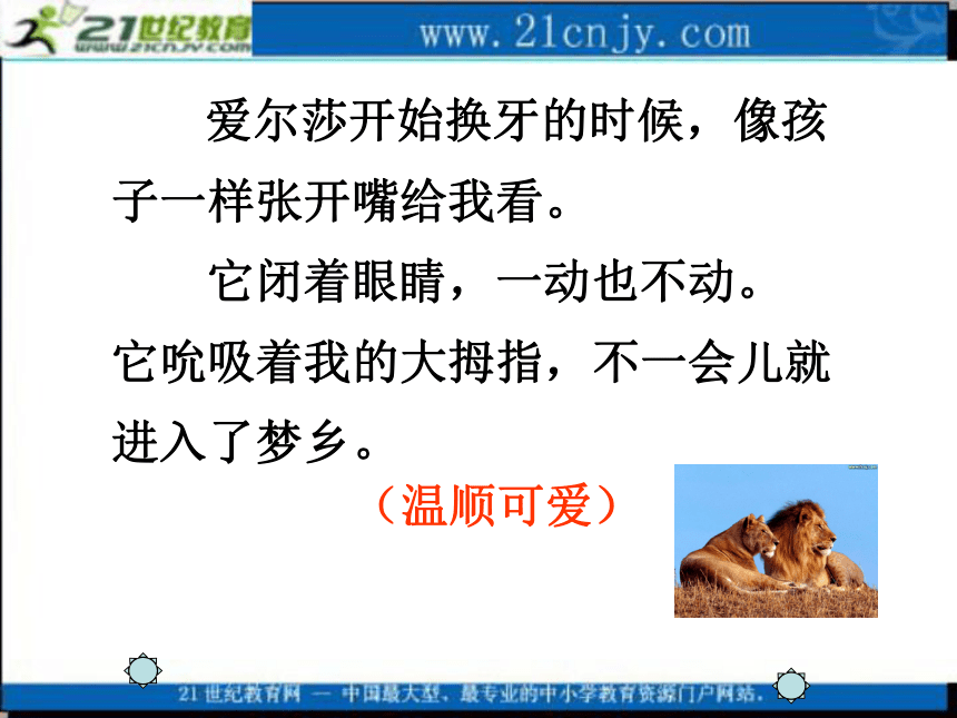 五年级语文上册课件 我和狮子 1（北京版）