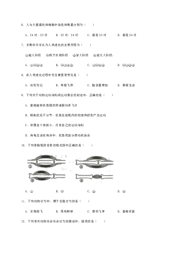 河南省汝阳县2019-2020学年八年级上学期期末考试生物试卷（WORD版有答案）