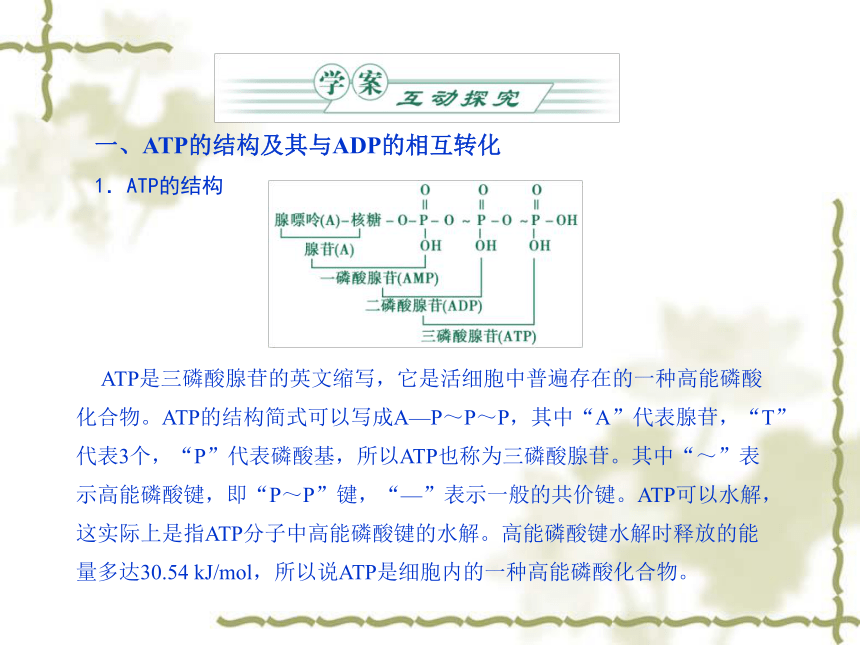 中图版生物必修1第一节《细胞中的能源物质》课件