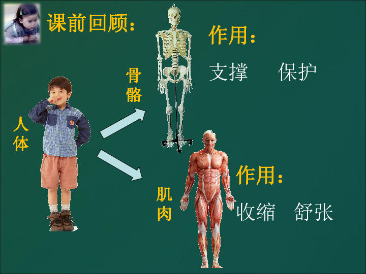 4.3运动起来会怎样（一） 课件（9张PPT）