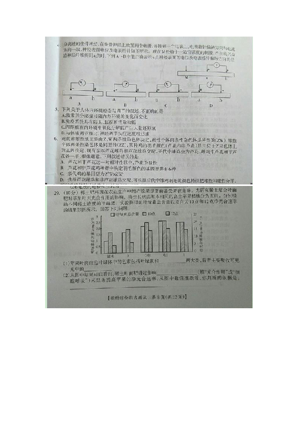 广西钦州市2019届高三4月综合能力测试（三模）理科综合生物试题（图片版）