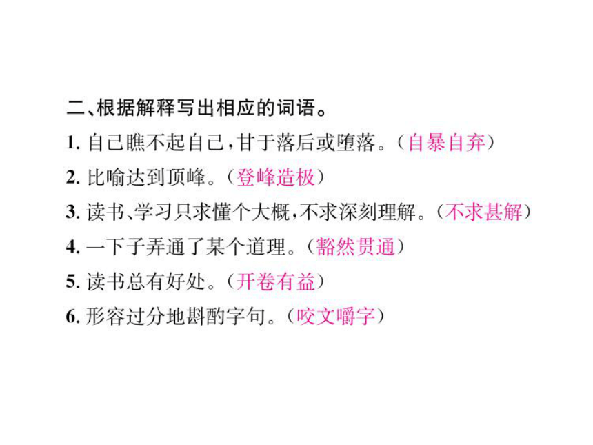 2017年春广东中考语文专题训练课件（二） 词语的理解与运用 （共15张PPT）