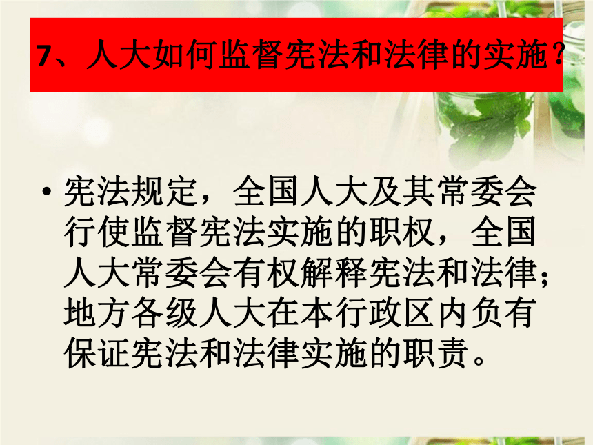 第二课保障宪法的实施   复习课件   (30张PPT)