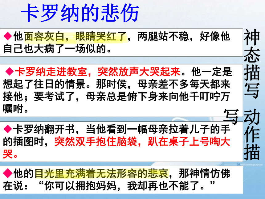 卡罗纳课件