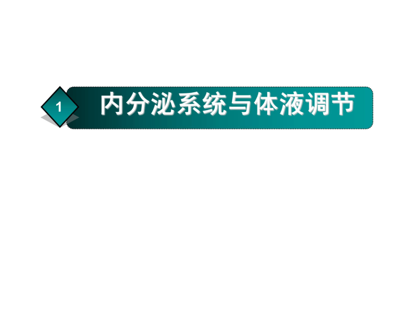 生物必修3第2章第3节高等动物的内分泌系统与体液调节 课件(共58张PPT)