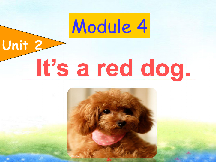 Module 4 Unit 2 It’s a red dog 课件(共19张PPT)