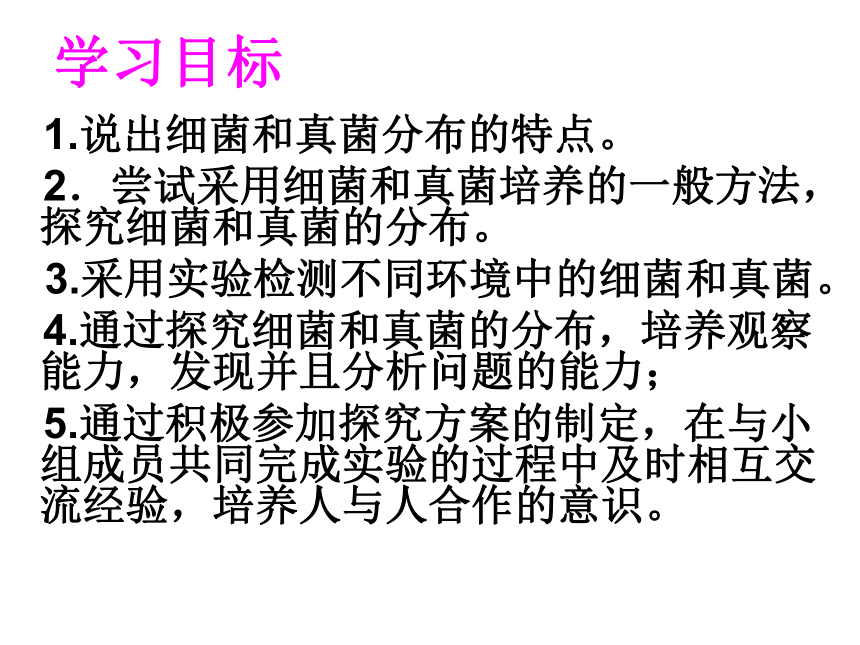 细菌和真菌的分布  课件              (共34张PPT)