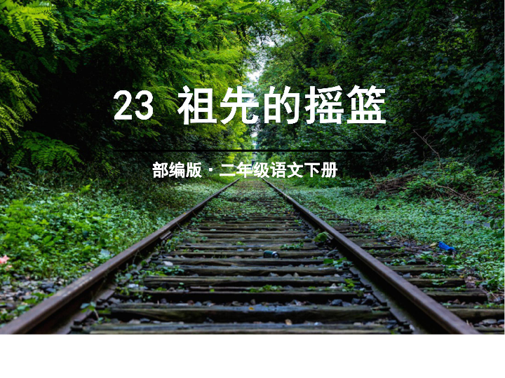 23 祖先的摇篮 课件 人教部编版 (共29张PPT)