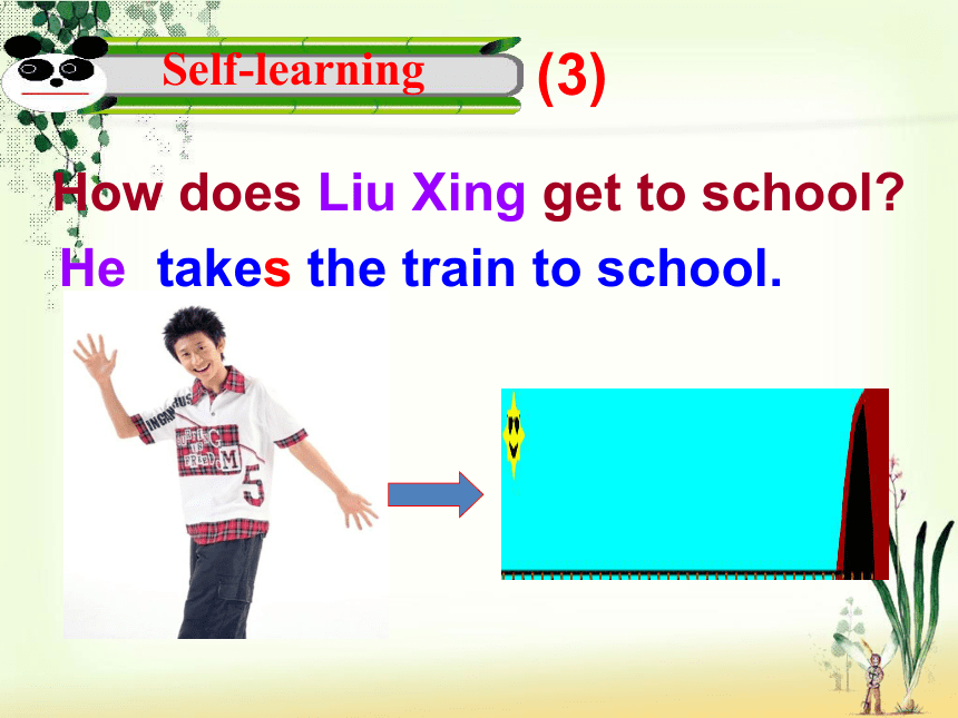 人教新目标goforit版七年级下unit3howdoyougettoschool课件21张ppt