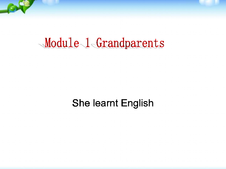 M2U1 She learnt English.课件(共21张PPT)
