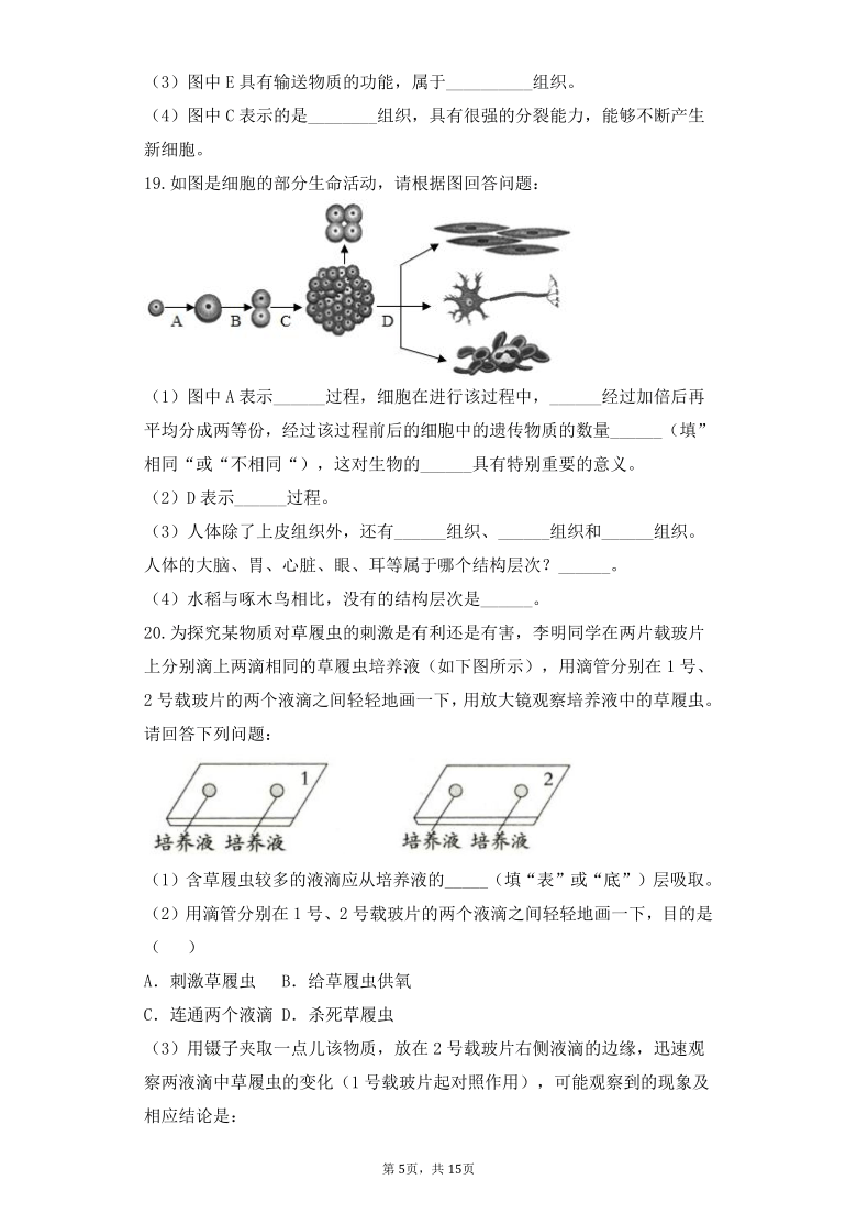 人教版七年级上册生物第二单元第二章 细胞怎样构成生物体综合训练（word版含解析）