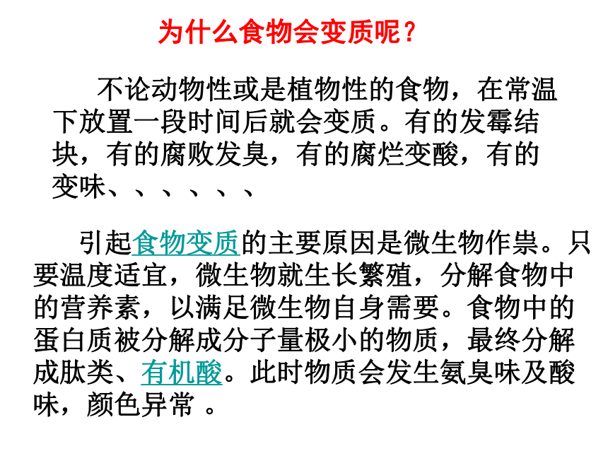 3.2《无处不在的微生物》 课件4