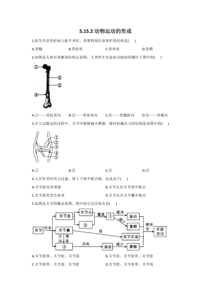 5.15.2动物运动的形成同步练习（word版含解析）2021-2022学年北师大版八年级生物上册课后10分钟