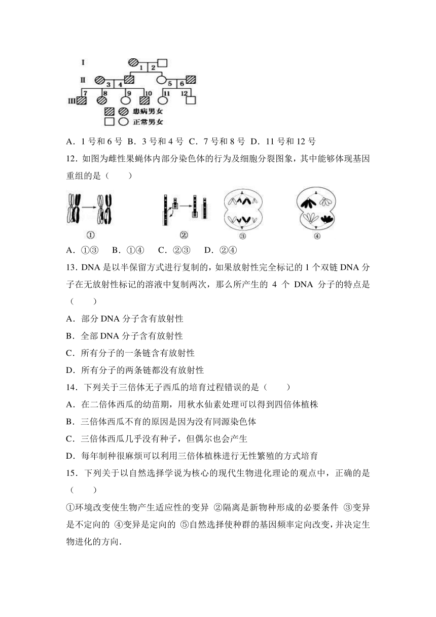 福建省福州市八县一中联考2016-2017学年高二（上）期末生物试卷（解析版）