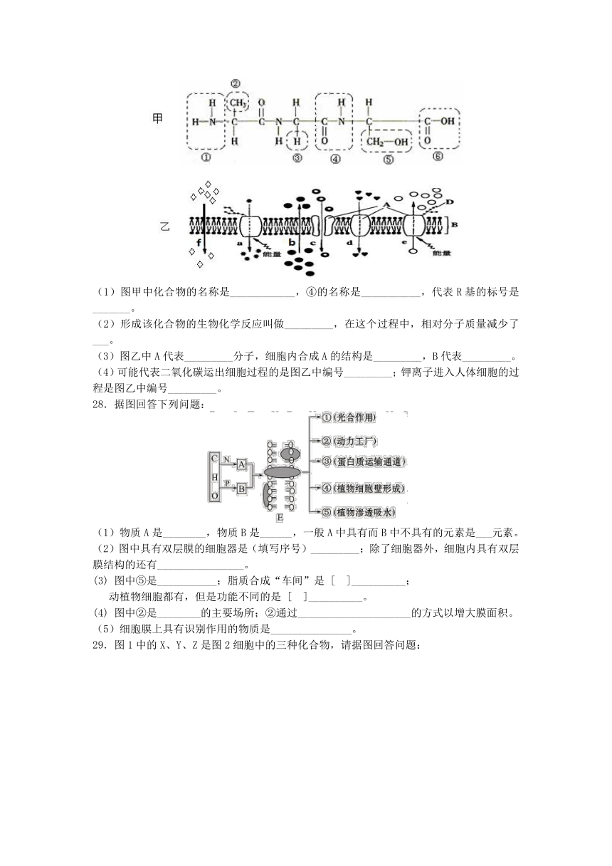 江苏省涟水中学2012-2013学年高一下学期期初检测生物试题