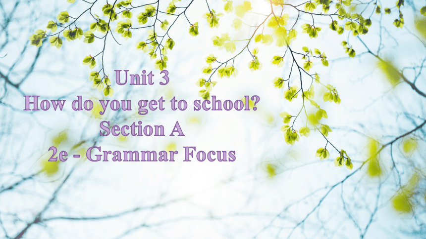 初中英语七年级Unit 3 How do you get to school? Section A 2e - Grammar Focus课件21张