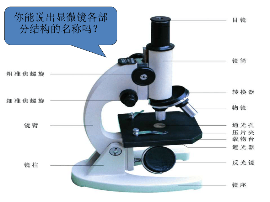 初中生物 苏科版 7年级上册第一章第二节 生物的基本研究方法 课件