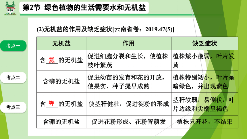 生物圈中的绿色植物 第2节 绿色植物的生活需要水和无机盐课件(共14