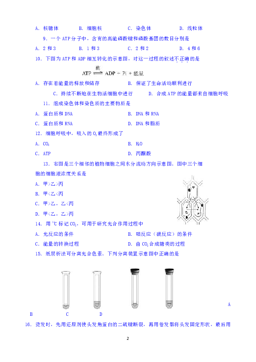 北京市西城区2018-2019学年高一上学期期末考试生物试题