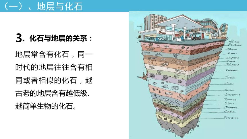 地層地球形成與演化簡史地球歷史的記錄地球的形成與演化知識結構地球