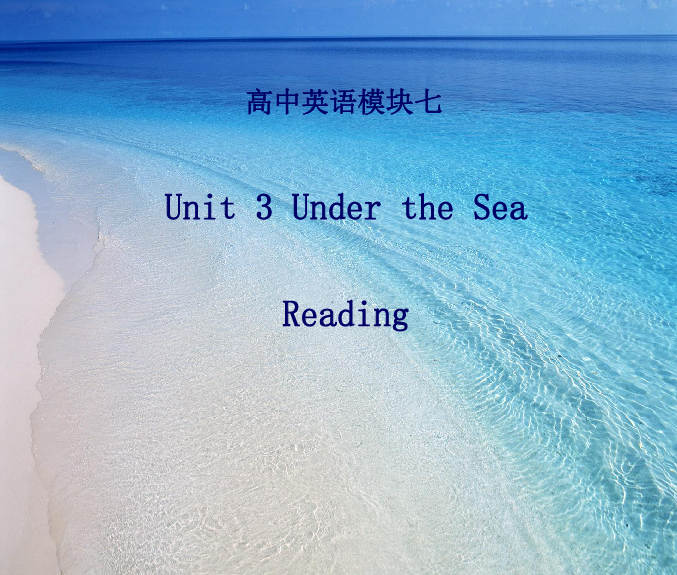 高中英语人教版选修7 Unit3 Under the sea reading （共29张PPT）