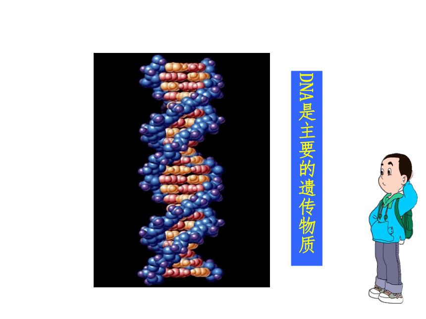 人教新课标必修二第三章第一节DNA是主要的遗传物质（共70张PPT）
