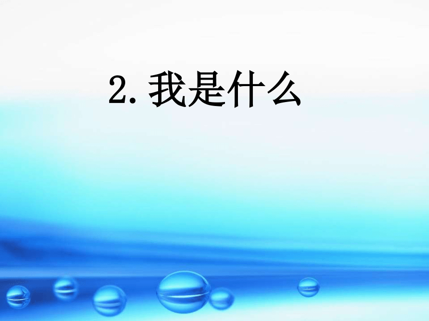 2 我是什么  课件79