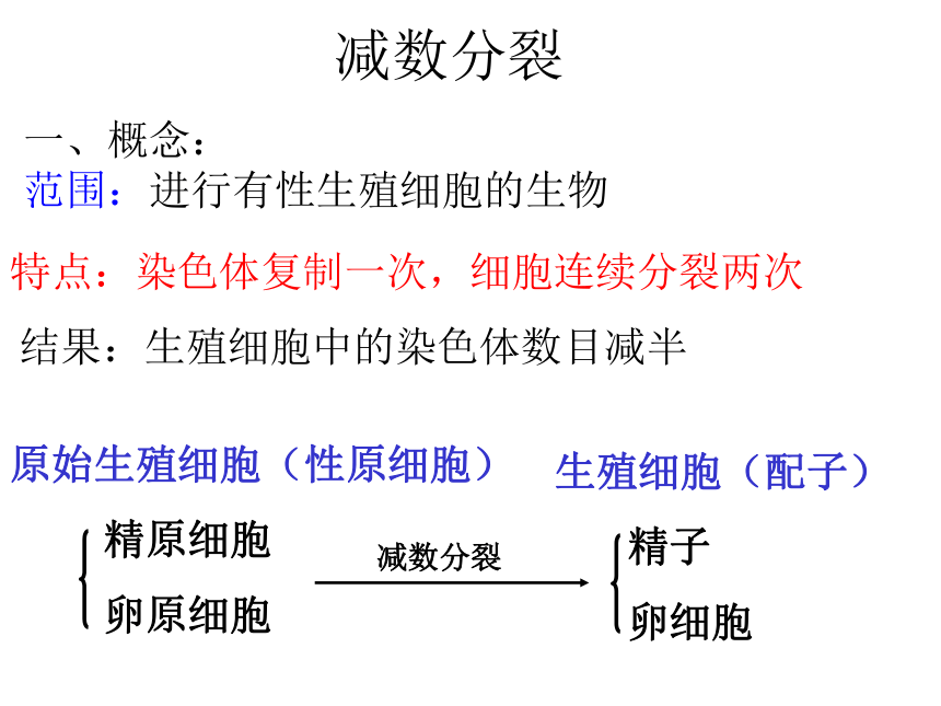 山东省日照市五莲中学2017届高三上学期生物一轮复习-减数分裂 课件 （共23张PPT）