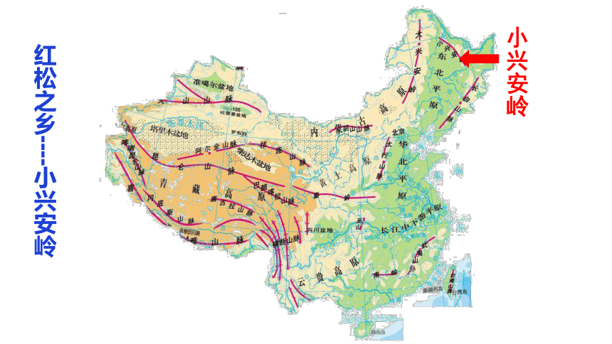 专题三  第五讲 中国四大地理区域之北方 课件（55张PPT）