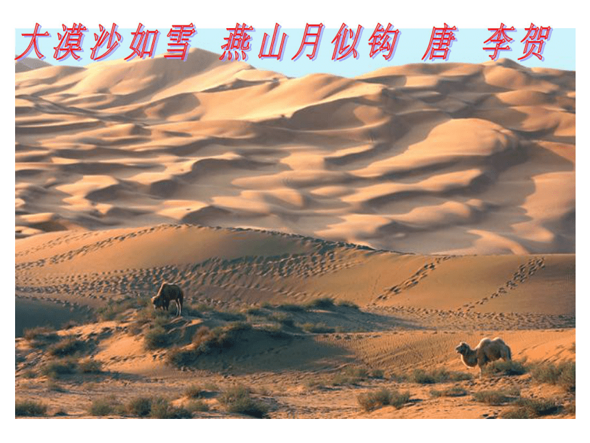 七年级语文下册（人教版）教学课件：22.在沙漠中心（共34张PPT）