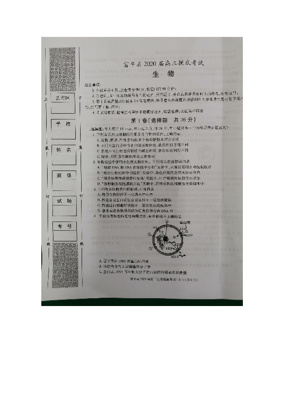 陕西省渭南市富平县2020届高三上学期第一次摸底考试生物试题 扫描版含答案