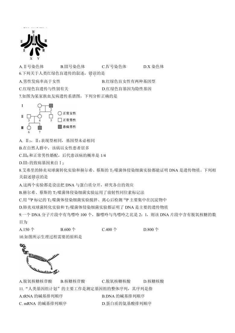 青海省西宁市大通回族土族自治县2020-2021学年高一下学期期末联考生物试题 Word版含答案