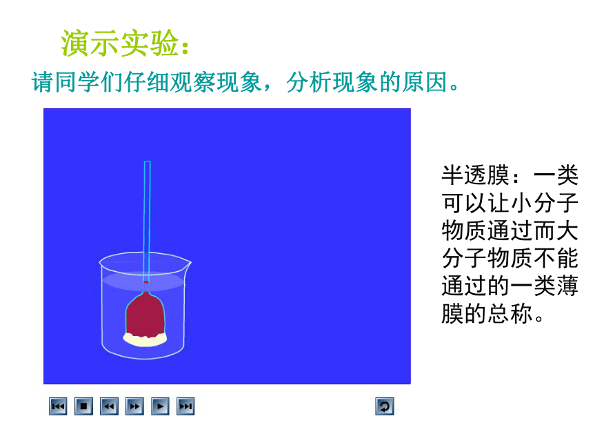 人教版生物必修一第四章第一节物质跨膜运输的实例-细胞吸水和失水（共36张PPT）