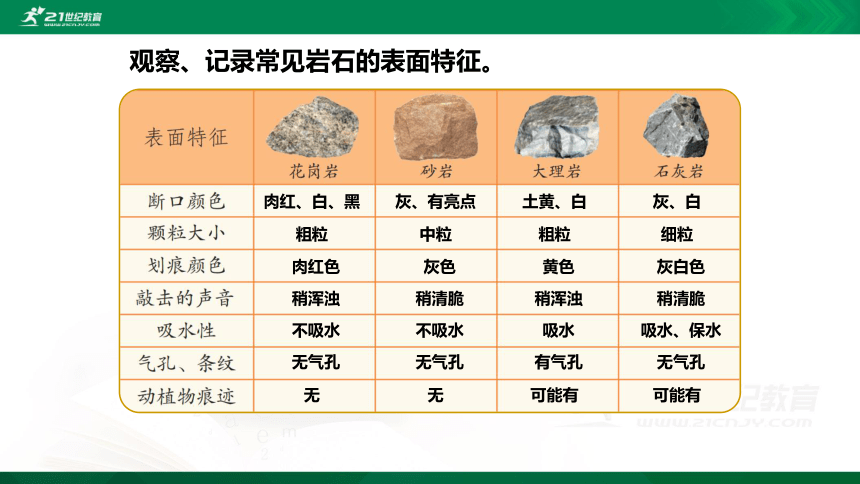 16常见的岩石复习课件8张ppt