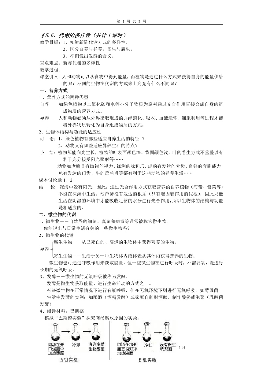 浙教版九年级上第四章第六节代谢的多样性[上学期]