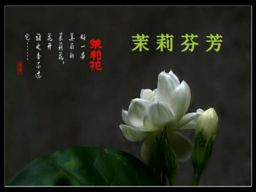 茉莉花（江苏民歌） 课件  (4)